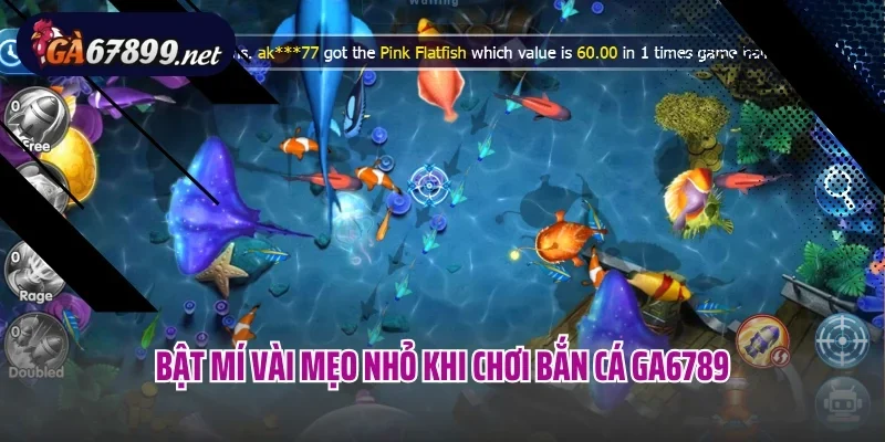 Bật mí vài mẹo nhỏ khi chơi bắn cá Ga6789