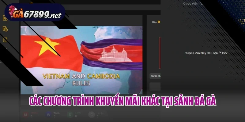 Các chương trình khuyến mãi khác tại sảnh đá gà