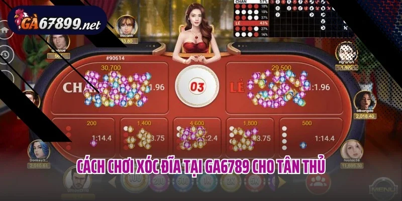 Cách chơi xóc đĩa tại Ga6789 cho tân thủ