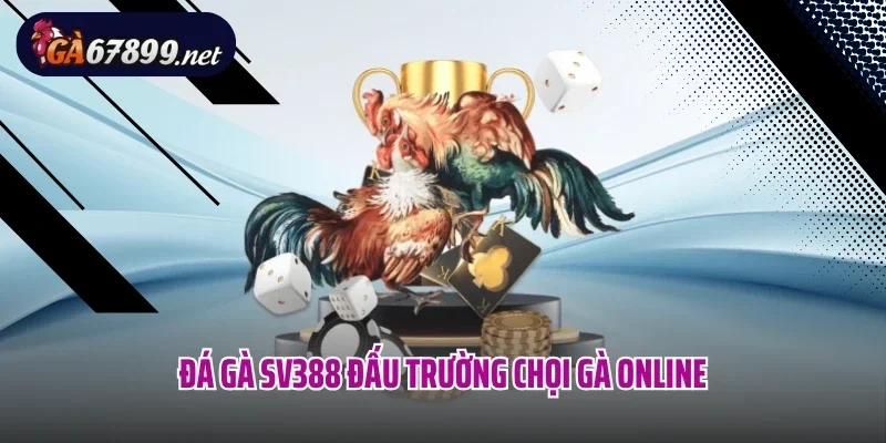 Đá gà SV388 đấu trường chọi gà online 