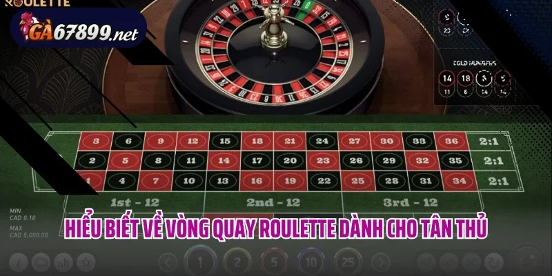 Hiểu biết về vòng quay Roulette dành cho tân thủ
