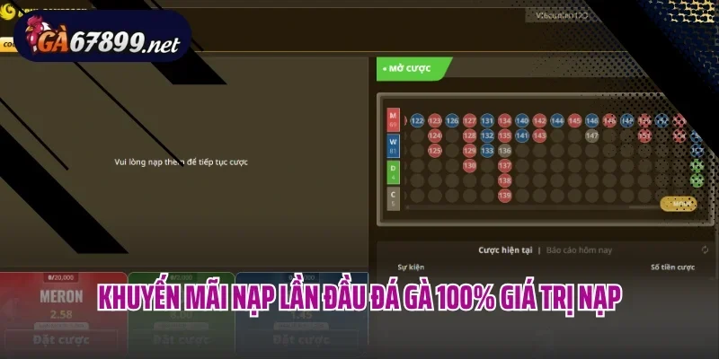 Khuyến mãi nạp lần đầu đá gà 100% giá trị nạp