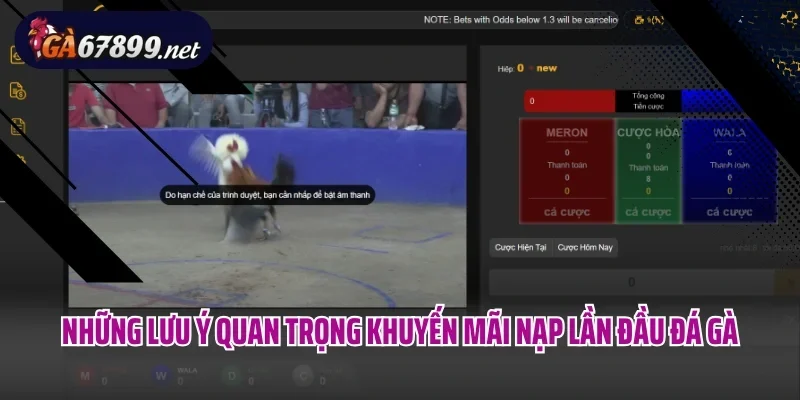 Những lưu ý quan trọng khuyến mãi nạp lần đầu đá gà