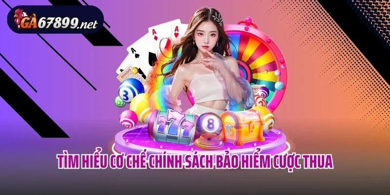 Tìm hiểu cơ chế chính sách bảo hiểm cược thua